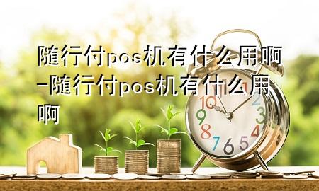 随行付pos机有什么用啊-随行付pos机有什么用啊