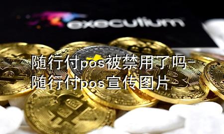 随行付pos被禁用了吗-随行付pos宣传图片