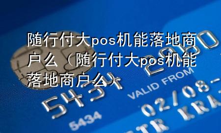 随行付大pos机能落地商户么(随行付大pos机能落地商户么)