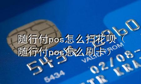 随行付pos怎么扫花呗(随行付pos怎么刷卡)