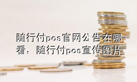 随行付pos官网公告在哪看,随行付pos宣传图片