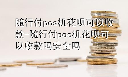 随行付pos机花呗可以收款-随行付pos机花呗可以收款吗安全吗