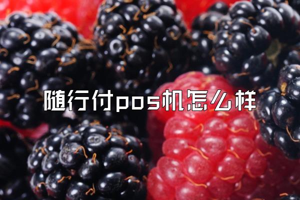 随行付pos机怎么样