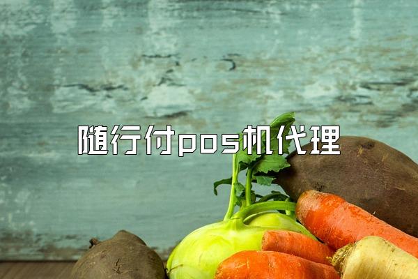 随行付pos机代理