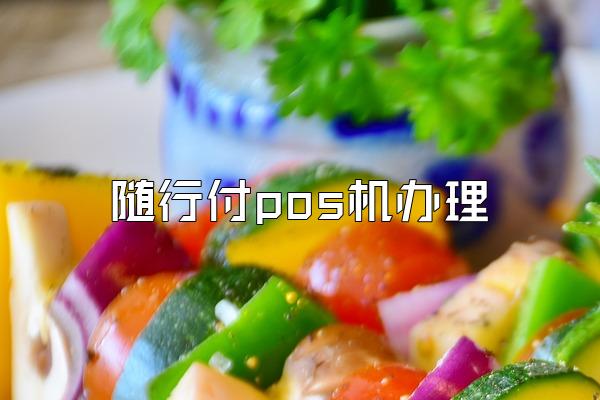 随行付pos机办理
