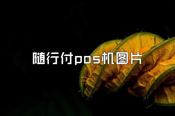 随行付pos机图片