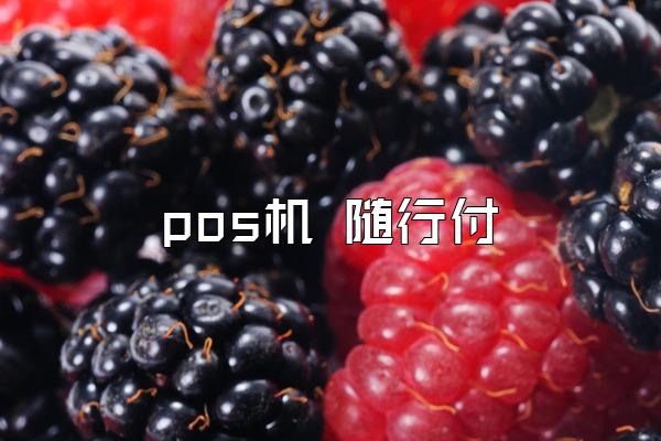 pos机 随行付
