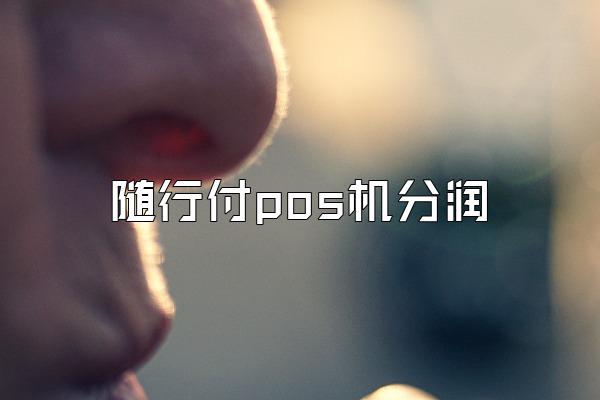 随行付pos机分润