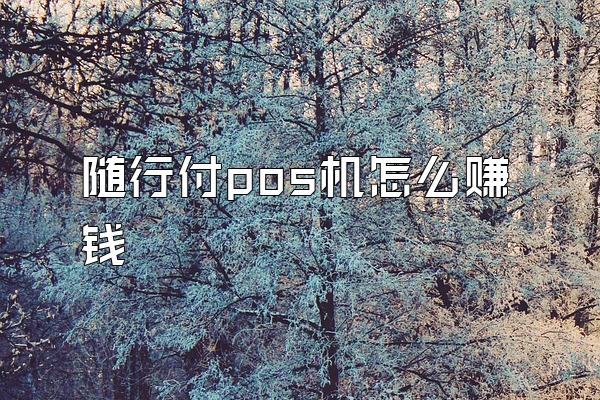 随行付pos机怎么赚钱