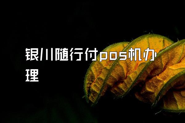 银川随行付pos机办理