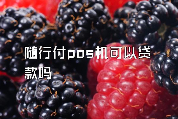 随行付pos机可以贷款吗