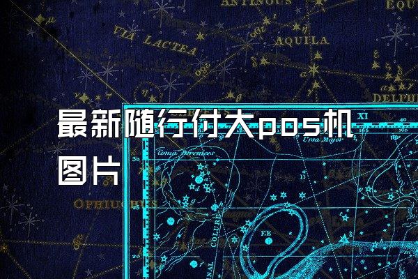 最新随行付大pos机图片