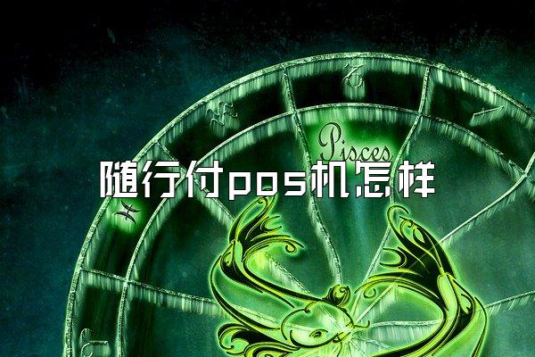 随行付pos机怎样