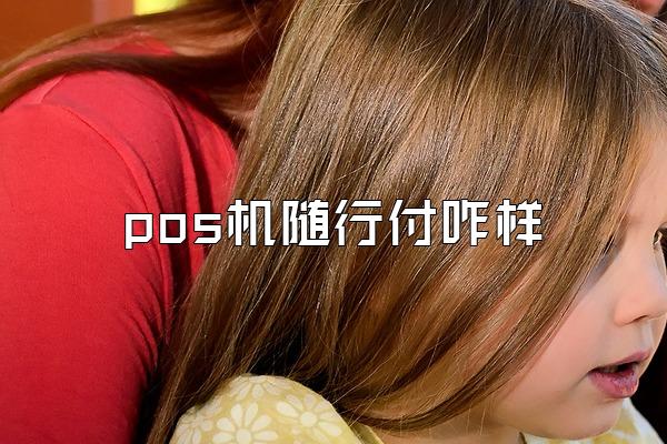 pos机随行付咋样