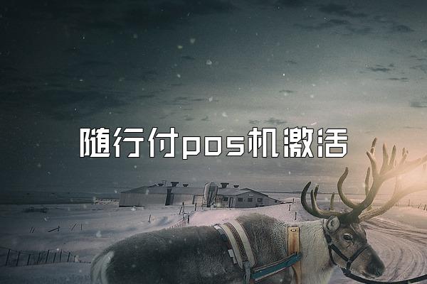 随行付pos机激活